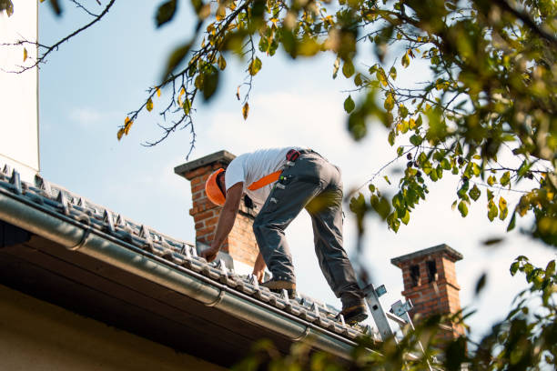 Roof Moss and Algae Removal in Bishopville, SC